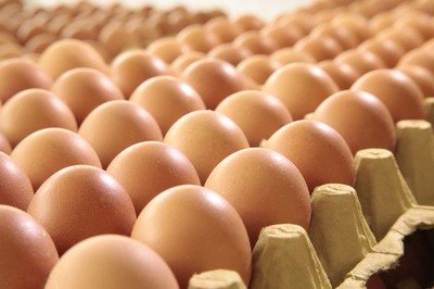 呼伦贝尔鸡蛋检测价格,鸡蛋检测机构,鸡蛋检测项目,鸡蛋常规检测